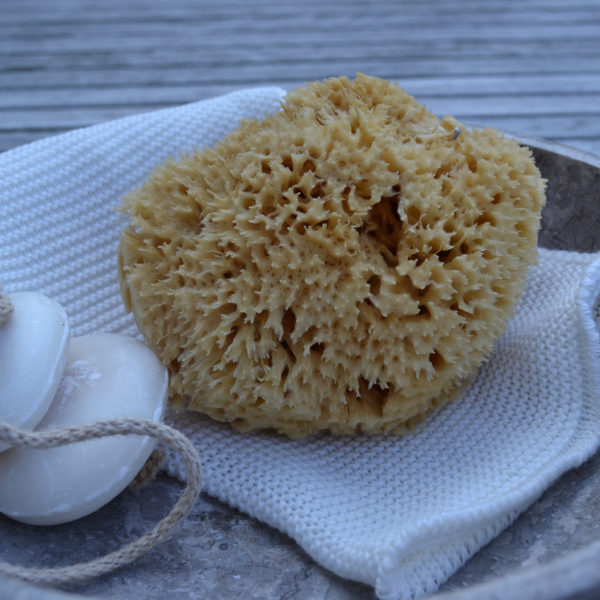 Picture of Cocoon Honeycomb natural sponge
