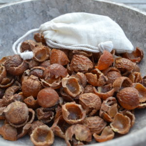 Bild av Cocoon Ekologiska Tvållbär 1 kg. - Tvålnötter Tvättnötter Såpnötter